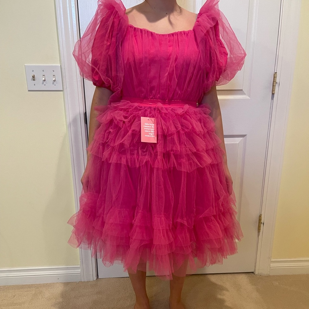 Hot pink brand new ivy city dress in M